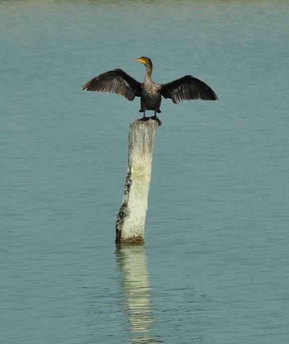 Fomos recebidos de braços abertos em Corozal, a primeira cidade em Belize